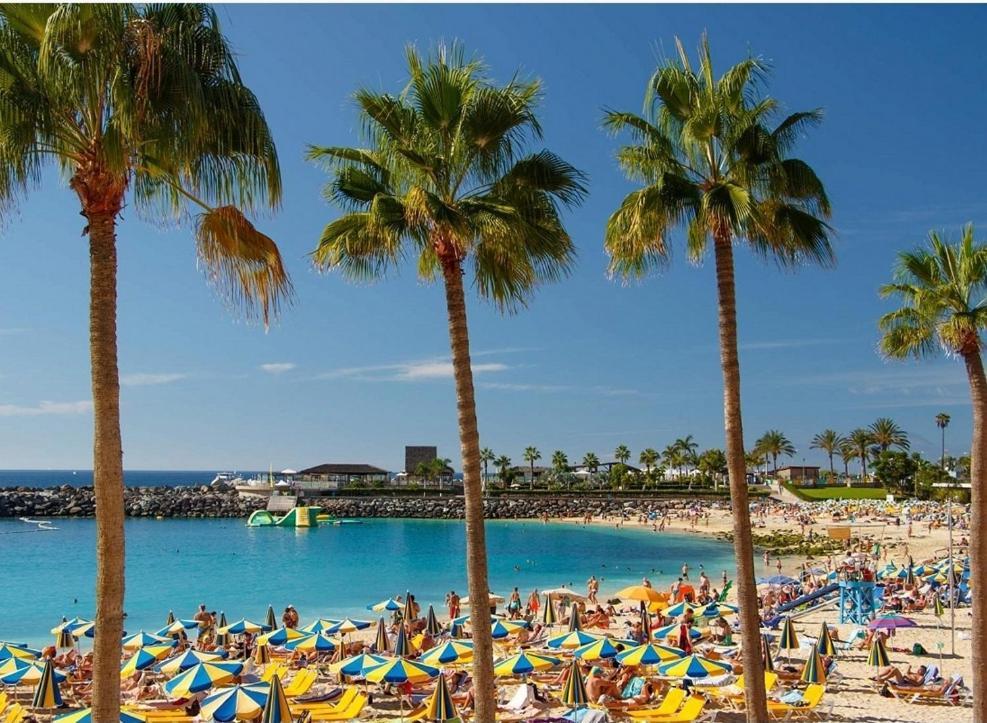 Carrizal Aeropuerto Gran Canaria Apartamento Vacacional المظهر الخارجي الصورة
